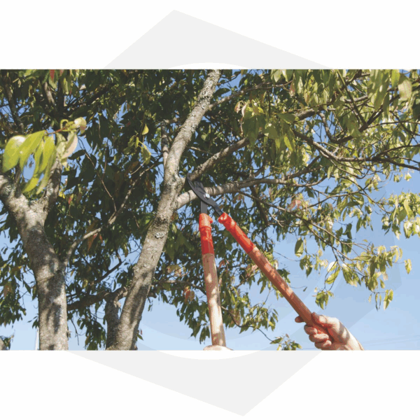 Tijera de Poda Tramontina 78360/505 – 60 cm