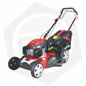 Carrito